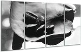 GroepArt - Glasschilderij - Koffiebonen, Keuken - Zwart, Wit, Grijs - 160x80cm 4Luik - Foto Op Glas - Geen Acrylglas Schilderij - 6000+ Glasschilderijen Collectie - Wanddecoratie