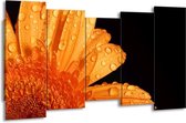GroepArt - Canvas Schilderij - Bloem - Zwart, Oranje - 150x80cm 5Luik- Groot Collectie Schilderijen Op Canvas En Wanddecoraties
