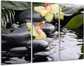 Glasschilderij Orchidee - Geel, Zwart, Wit - 120x80cm 3Luik - Foto Op Glas - Geen Acrylglas Schilderij - GroepArt 6000+ Glas Art Collectie - Maatwerk Mogelijk