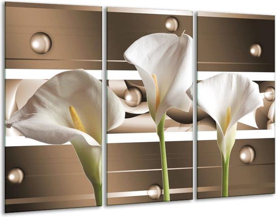 Glasschilderij Bloem - Bruin, Wit, Groen - 120x80cm 3Luik - Foto Op Glas - Geen Acrylglas Schilderij - GroepArt 6000+ Glas Art Collectie - Maatwerk Mogelijk