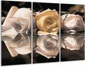 Glasschilderij Roos - Geel, Grijs, Wit - 120x80cm 3Luik - Foto Op Glas - Geen Acrylglas Schilderij - GroepArt 6000+ Glas Art Collectie - Maatwerk Mogelijk