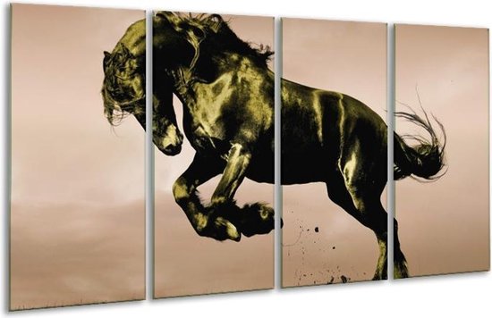 Glasschilderij Paard | Bruin, Groen, Zwart | | Foto print op Glas |  F002668