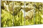 GroepArt - Glasschilderij - Tulp - Groen, Grijs - 160x80cm 4Luik - Foto Op Glas - Geen Acrylglas Schilderij - 6000+ Glasschilderijen Collectie - Wanddecoratie