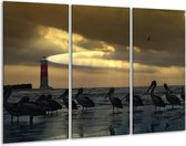 GroepArt - Schilderij -  Vogels - Geel, Zwart, Wit - 120x80cm 3Luik - 6000+ Schilderijen 0p Canvas Art Collectie