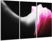 Peinture sur toile corps | Noir, blanc, rose | 120x80cm 3 Liège