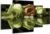 Peinture sur toile Rose | Vert, marron, blanc | 160x90cm 4 Liège