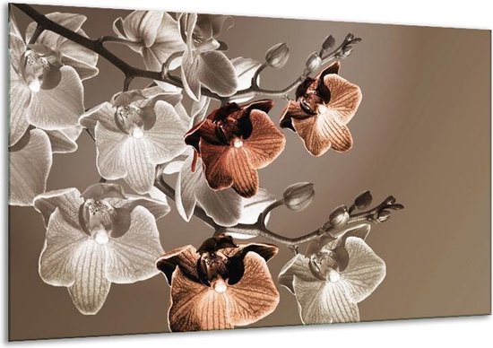 Glasschilderij Orchidee - Grijs, Bruin - 120x70cm 1Luik - Foto Op Glas - Geen Acrylglas Schilderij - GroepArt 6000+ Glasschilderijen Art Collectie - Wanddecoratie - Woonkamer - Slaapkamer
