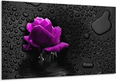 Peinture sur verre rose | Violet, noir | 120x70cm 1Hatch | Tirage photo sur verre |  F003586