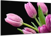 Glasschilderij Tulpen - Roze, Zwart, Groen - 120x70cm 1Luik - Foto Op Glas - Geen Acrylglas Schilderij - GroepArt 6000+ Glasschilderijen Art Collectie - Wanddecoratie - Woonkamer - Slaapkamer