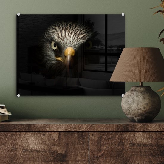 MuchoWow® Peinture sur verre 40x30 cm - Peinture sur verre acrylique - Vogel - Aigle - Rapaces - Oeil - Bec - Lumière - Photo sur verre - Peintures