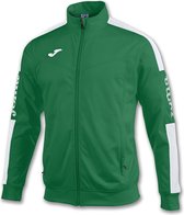 Joma Championship IV Polyester Gilet Hommes - Vert / Wit | Taille : XL