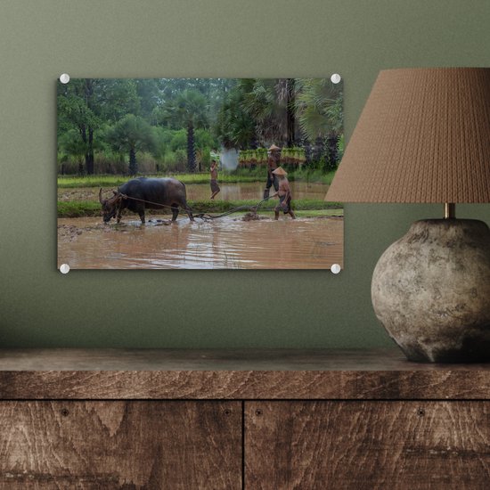 MuchoWow® Peinture sur verre 30x20 cm - Peinture sur verre acrylique - Un agriculteur asiatique laboure sa terre avec un bœuf - Photo sur verre - Peintures