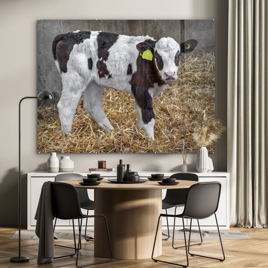 Une adorable veau de vache frison en belle paille Plexiglas 160x120 cm - Tirage photo sur Glas (décoration murale plexiglas) XXL / Groot format!