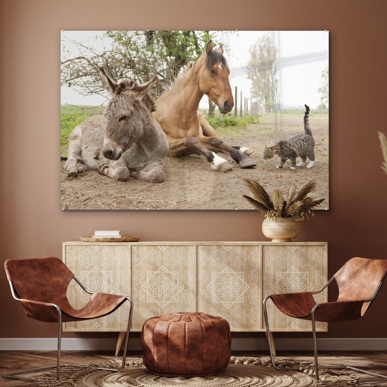 Peinture sur Verre - Âne Chat et Cheval sur Chemin de Terre - 180x120 cm - Peintures sur Verre Peintures - Photo sur Glas