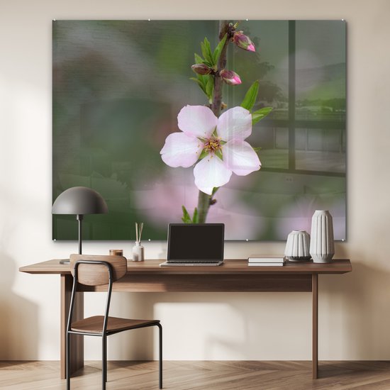 MuchoWow® Peinture sur verre - Bloem d'amandier - 160x120 cm - Peintures sur verre acrylique - Photo sur Glas