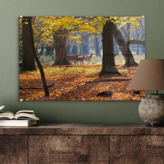 ® Glasschilderij 60x40 cm - Schilderij acrylglas - Herten in een bos in Denemarken - Foto op glas - Muurdecoratie woonkamer - Wanddecoratie slaapkamer - Schilderijen