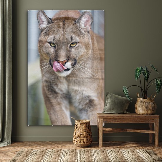 MuchoWow® Peinture sur verre 100x150 cm - Peinture sur verre acrylique - Puma qui marche - Photo sur verre - Peintures