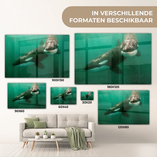 Peinture sur verre - Deux orques dans l'eau - 90x60 cm - Peintures Acryliques - Photo sur Glas