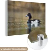 MuchoWow® Glasschilderij 30x20 cm - Schilderij acrylglas - Kuifeend - Water - Vogel - Foto op glas - Schilderijen