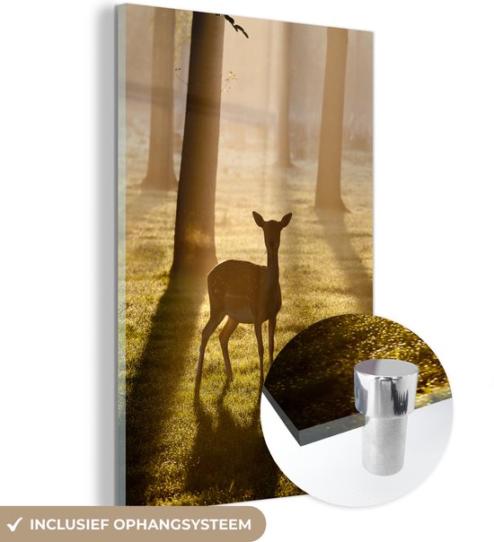 MuchoWow® Peinture sur verre - Cerf - Forêt - Soleil - 60x90 cm - Peintures acrylique - Photo sur Glas