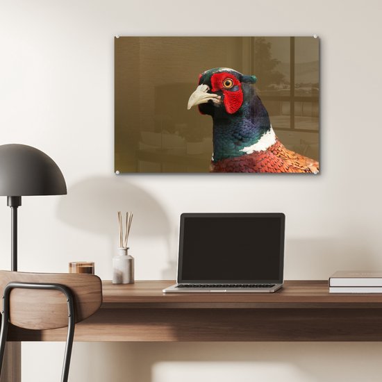 Un gros plan d'un faisan coloré en plexiglas 60x40 cm - Tirage photo sur Glas (décoration murale en plexiglas)