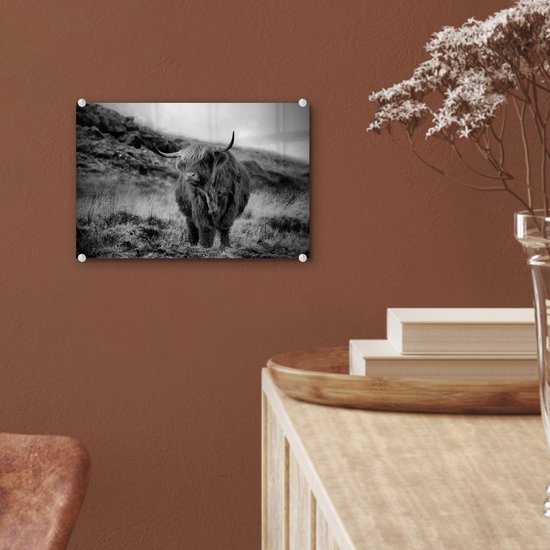 MuchoWow® Peinture sur verre 30x20 cm - Peinture acrylique sur verre - Highlander écossais sur une colline - noir et blanc - Photo sur verre - Peintures