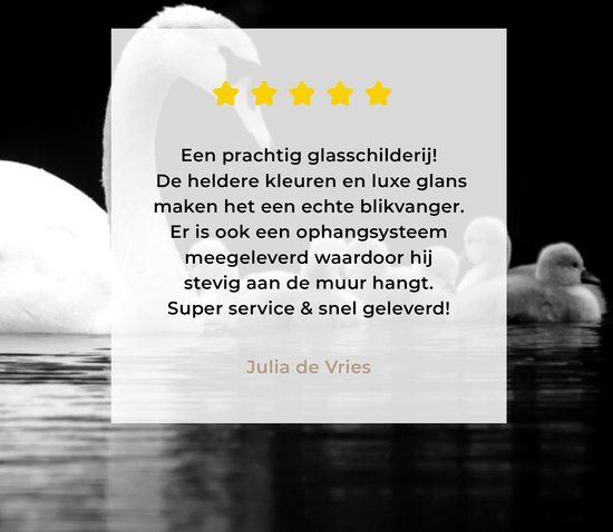 MuchoWow® Tableau en verre 150x100 cm - Peinture acrylique sur verre - Cygnes sur fond noir - noir blanc - Photo sur verre - Tableaux