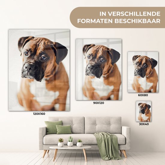 Un Boxer air triste Plexiglas 60x80 cm - Tirage photo sur Glas (décoration murale plexiglas)