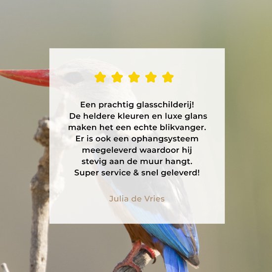 ® Glasschilderij 30x20 cm - Schilderij acrylglas - Grijskopijsvogel klimt naar de top van een tak - Foto op glas - Muurdecoratie woonkamer - Wanddecoratie slaapkamer - Schilderijen