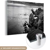 MuchoWow® Glasschilderij 30x20 cm - Schilderij acrylglas - Puffins bij zonsondergang - zwart wit - Foto op glas - Schilderijen