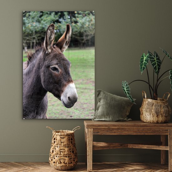 MuchoWow® Peinture sur Verre - Âne Brun - 80x120 cm - Peintures sur Verre Acrylique - Photo sur Glas