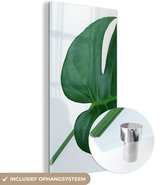 MuchoWow® Glasschilderij 20x40 cm - Schilderij acrylglas - Botanische gatenplant op een lichtgrijze achtergrond - Foto op glas - Schilderijen