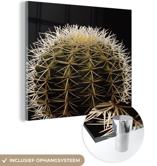 MuchoWow® Glasschilderij 20x20 cm - Schilderij acrylglas - Een close up van een doornen op cactus op een zwarte achtergrond - Foto op glas - Schilderijen
