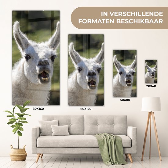 MuchoWow® Peinture sur verre 20x40 cm - Peinture sur verre acrylique - Lama - Drôle - Enfants - Garçons - Filles - Kids - Photo sur verre - Peintures