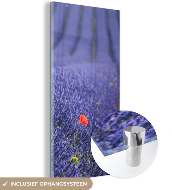 MuchoWow® Peinture sur Verre - Lavande - Coquelicot - Prairie de Fleurs - 60x120 cm - Peintures sur Verre Acrylique - Photo sur Glas