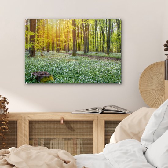 MuchoWow® Peinture sur verre 60x40 cm - Peinture acrylique sur verre - Forêt verte illuminée par des rayons de lumière - Photo sur verre - Peintures