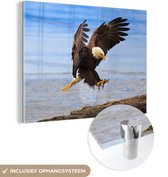 MuchoWow® Glasschilderij 160x120 cm - Schilderij acrylglas - Vogel - Zeearend - Strand - Foto op glas - Schilderijen