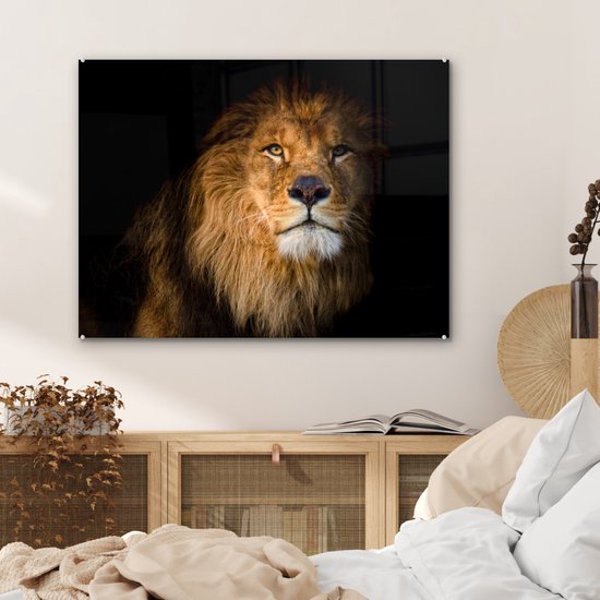 MuchoWow® Peinture sur verre - Lion - Lumière - Zwart - Portrait - 80x60 cm - Peintures sur verre acrylique - Photo sur Glas