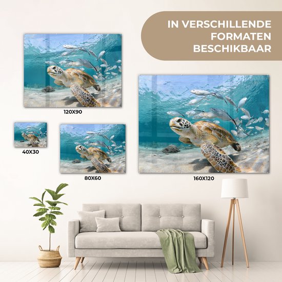 MuchoWow® Glasschilderij 160x120 cm - Schilderij acrylglas - Schildpad - Vis - Zee - Foto op glas - Muurdecoratie woonkamer - Wanddecoratie slaapkamer - Schilderijen
