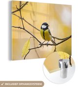 MuchoWow - Glasschilderij - Vogel - Koolmees - Geel - Takken - Blad - Acrylglas - Foto op glas - 40x30 cm - Glasschilderij vogels - Wanddecoratie - Glasschilderij natuur