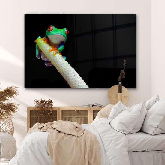 MuchoWow® Peinture sur verre 180x120 cm - Peinture sur verre acrylique - Grenouille - Animaux - Plante - Photo sur verre - Peintures