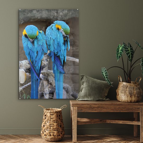 Deux aras en Glas 80x120 cm - Tirage photo sur Glas (décoration murale en plexiglas)