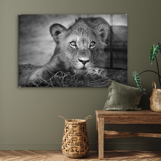 MuchoWow - Glasschilderij - Foto op glas - Wanddecoratie - Acrylglas - Wilde dieren - Leeuw - Natuur - Zwart - Wit - Woonkamer - 120x80 cm - Muurdecoratie dieren - Kamer decoratie - Schilderij glas