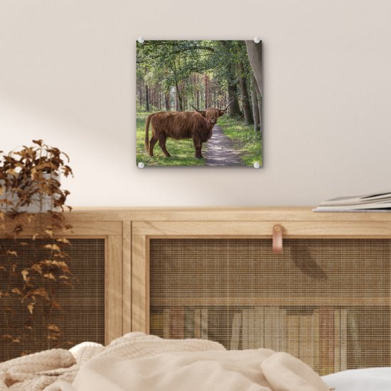 MuchoWow® Peinture sur verre 20x20 cm - Peinture sur verre acrylique - Forêt - Highland écossais - Lumière - Photo sur verre - Peintures