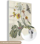MuchoWow® Glasschilderij - Botanische illustratie rups en bij - 90x120 cm - Acrylglas Schilderijen - Foto op Glas