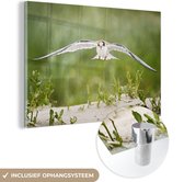 MuchoWow® Glasschilderij 180x120 cm - Schilderij acrylglas - Vogel - Zand - Planten - Foto op glas - Schilderijen