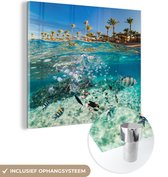 MuchoWow® Glasschilderij 50x50 cm - Schilderij acrylglas - Zee - Vissen - Egypte - Foto op glas - Schilderijen