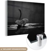 MuchoWow® Peinture sur verre 180x120 cm - Peinture acrylique sur verre - Cygne dans l'eau - Photo sur verre - Peintures