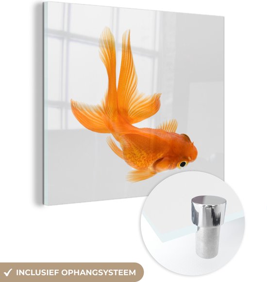 MuchoWow® Glasschilderij 90x90 cm - Schilderij acrylglas - Goudvis - Zwemmen - Wit - Foto op glas - Schilderijen