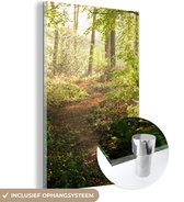 MuchoWow® Glasschilderij 40x60 cm - Schilderij acrylglas - Bos - Bomen - Pad - Zon - Planten - Bladeren - Natuur - Foto op glas - Schilderijen